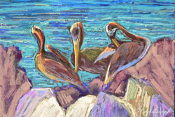 My loved pelicans Madeleine R Studio